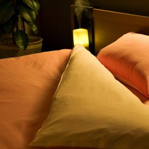 川越でベッドクリーニングは実績のある当社にご依頼ください